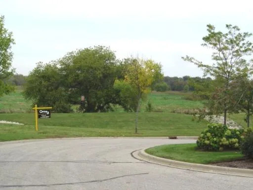 a view of a park with large trees