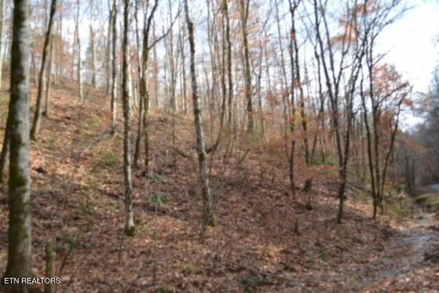 $49,900 | 6.70-ac Wet Mill Creek Road, Celina, TN 38551