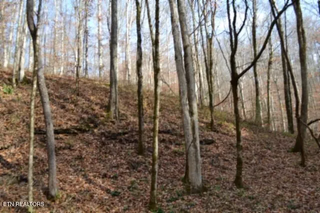 $49,900 | 6.70-ac Wet Mill Creek Road, Celina, TN 38551