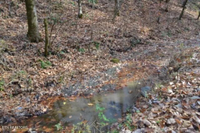 $49,900 | 6.70-ac Wet Mill Creek Road, Celina, TN 38551