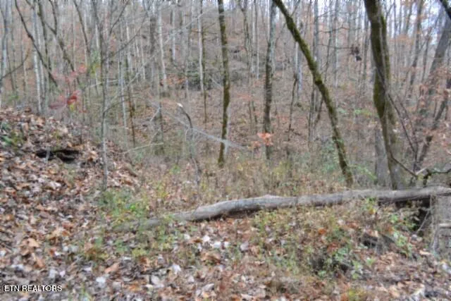 $49,900 | 6.70-ac Wet Mill Creek Road, Celina, TN 38551