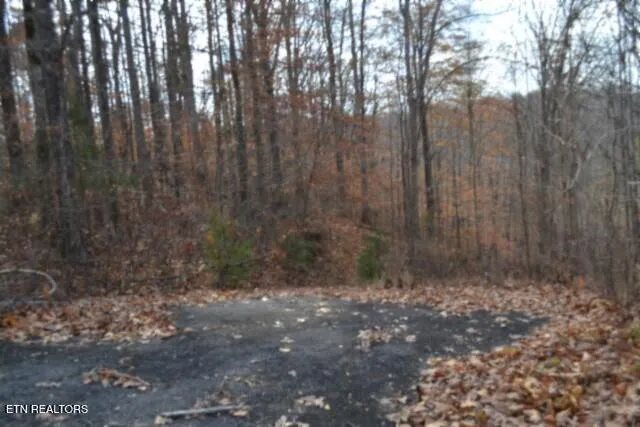 $49,900 | 6.70-ac Wet Mill Creek Road, Celina, TN 38551
