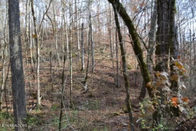 $49,900 | 6.70-ac Wet Mill Creek Road, Celina, TN 38551