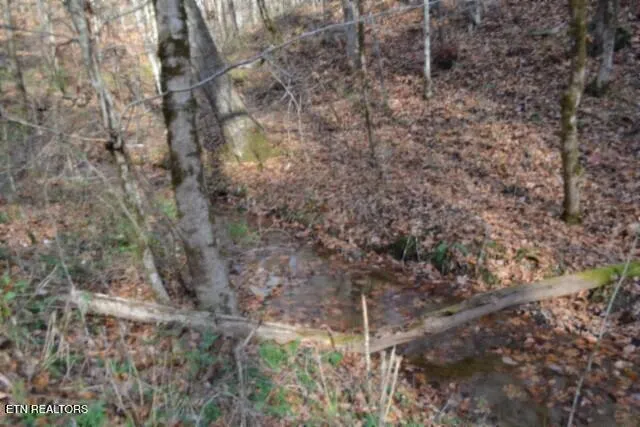 $49,900 | 6.70-ac Wet Mill Creek Road, Celina, TN 38551
