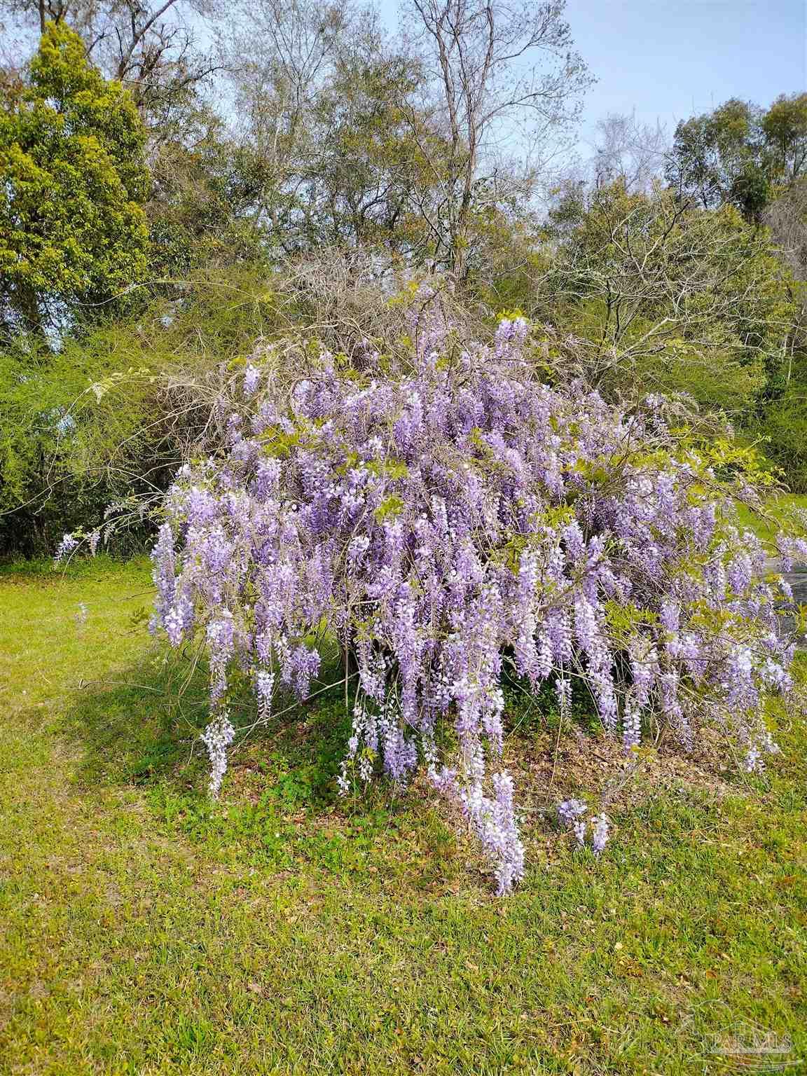 4611 Gunter Road Milton, FL 32570 - Photo 26 of 29
