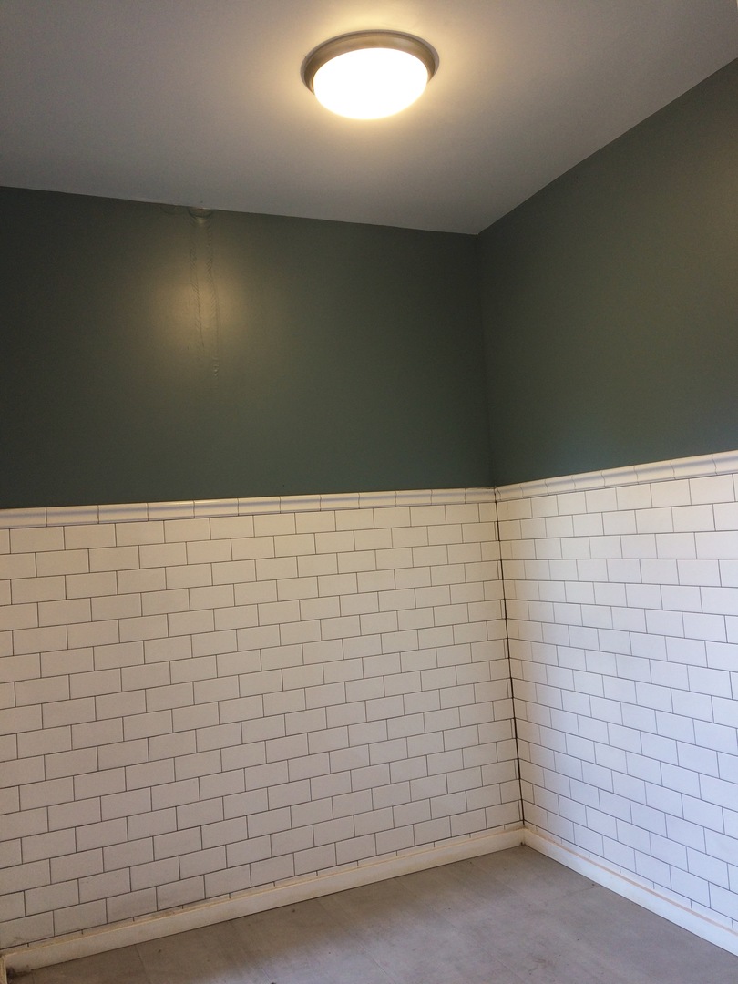 6847 South Indiana Avenue Chicago, IL 60637 - Photo 2 of 19