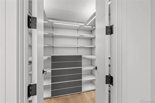 a view of walk in closet with empty racks