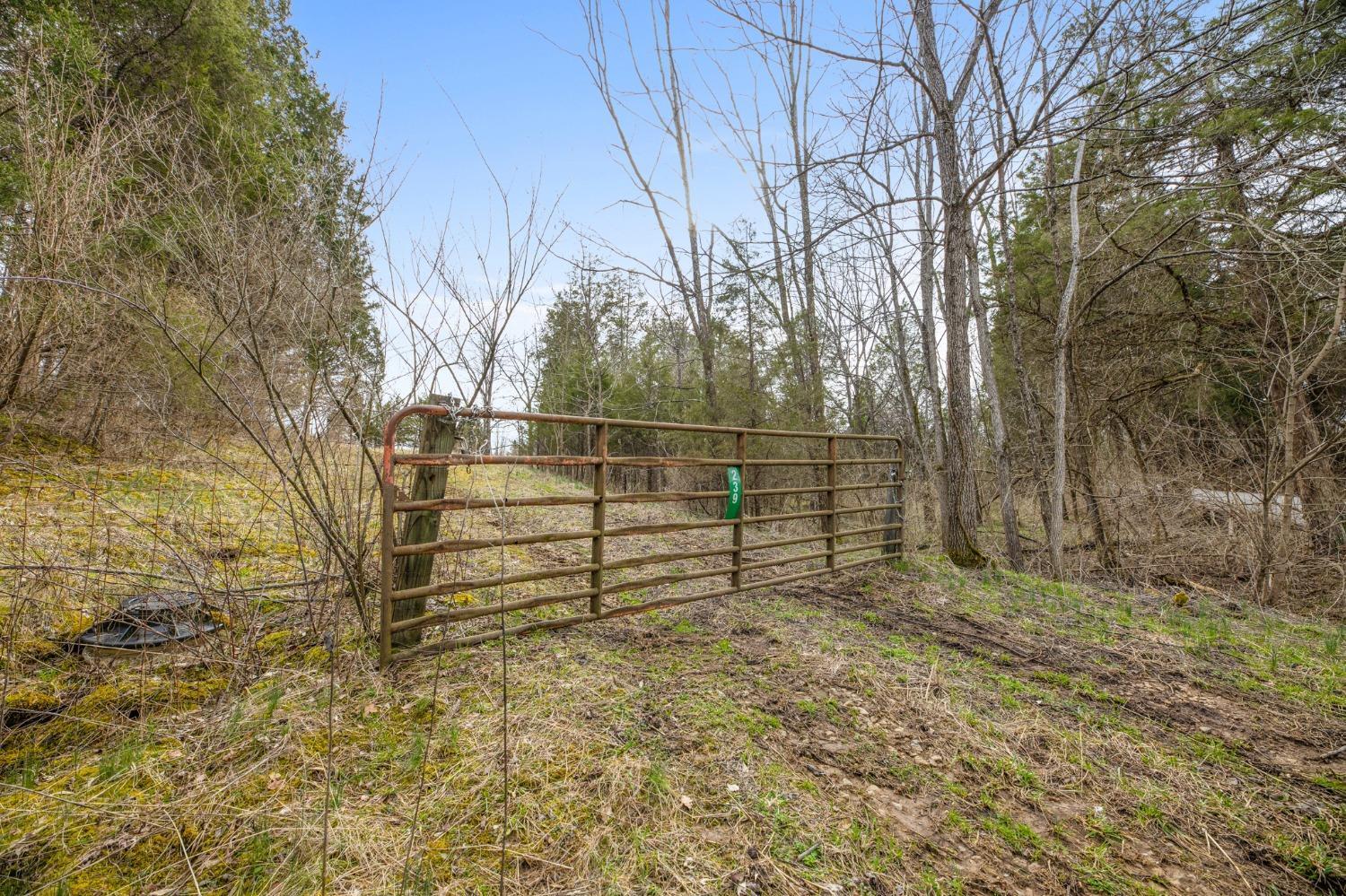 10.357-ac Cooper Road West Union, OH 45693 - Photo 5 of 20