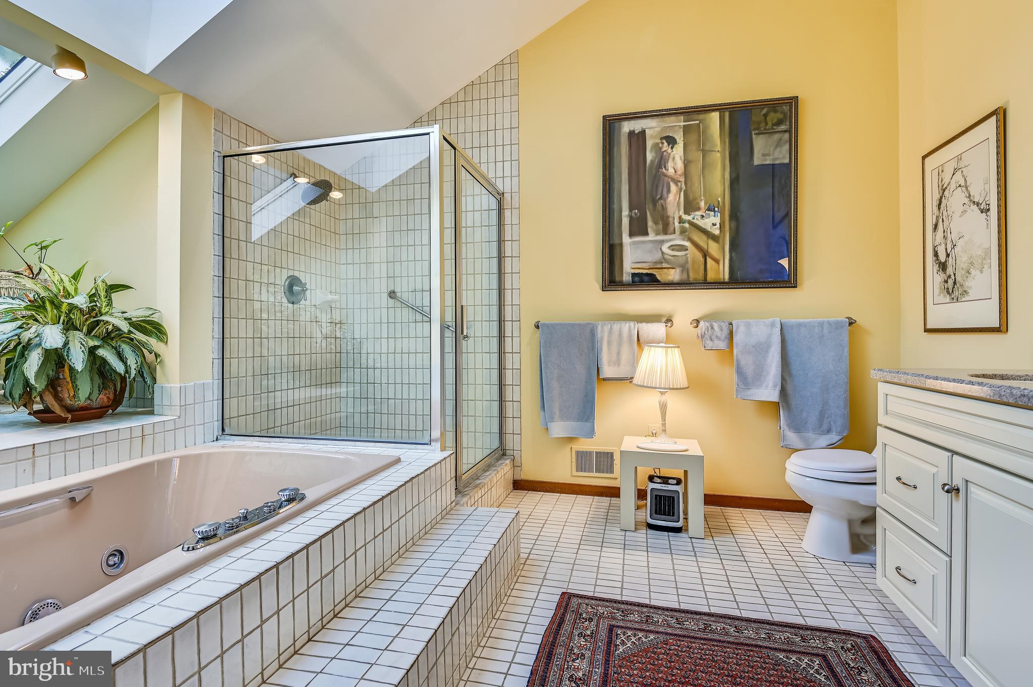 914 Rolandvue Road Baltimore, MD 21204 - Photo 31 of 45 Primary bath w/ jetted tub and stall shower