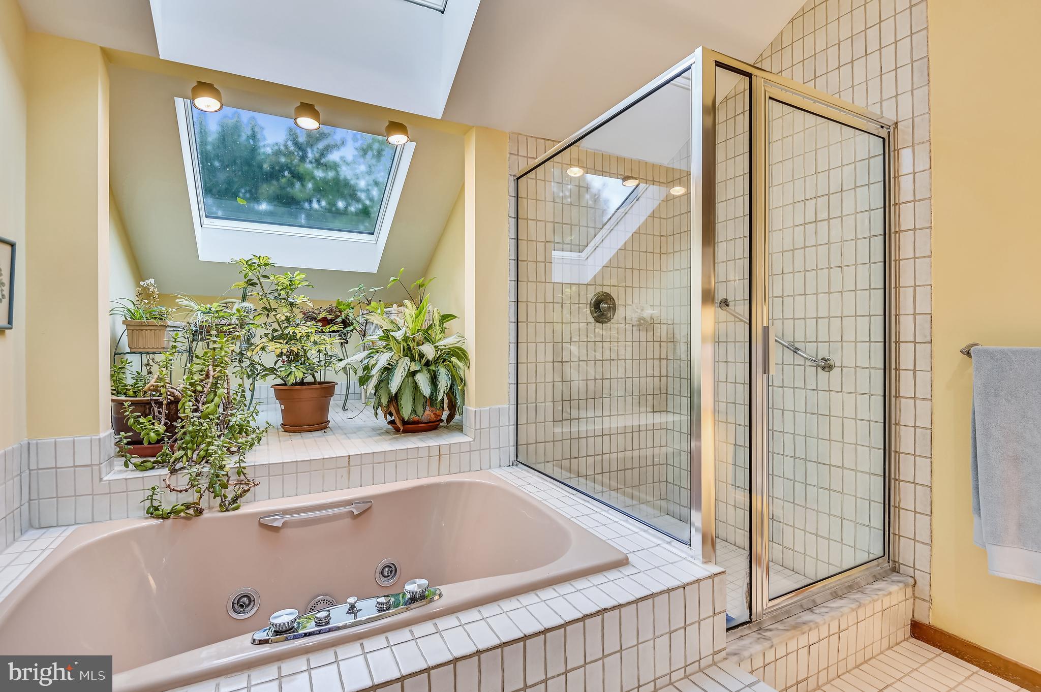 914 Rolandvue Road Baltimore, MD 21204 - Photo 32 of 45 Primary bath with plant nook