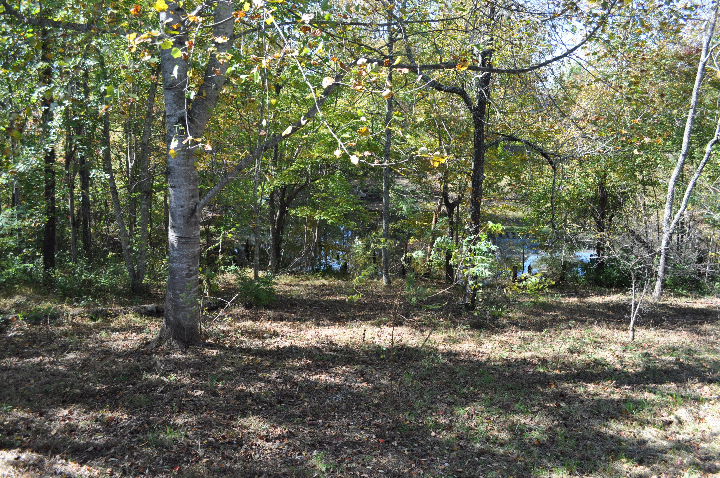 140 Vandever Road Crossville, TN 38572 - Photo 13 of 40 DSC_0697