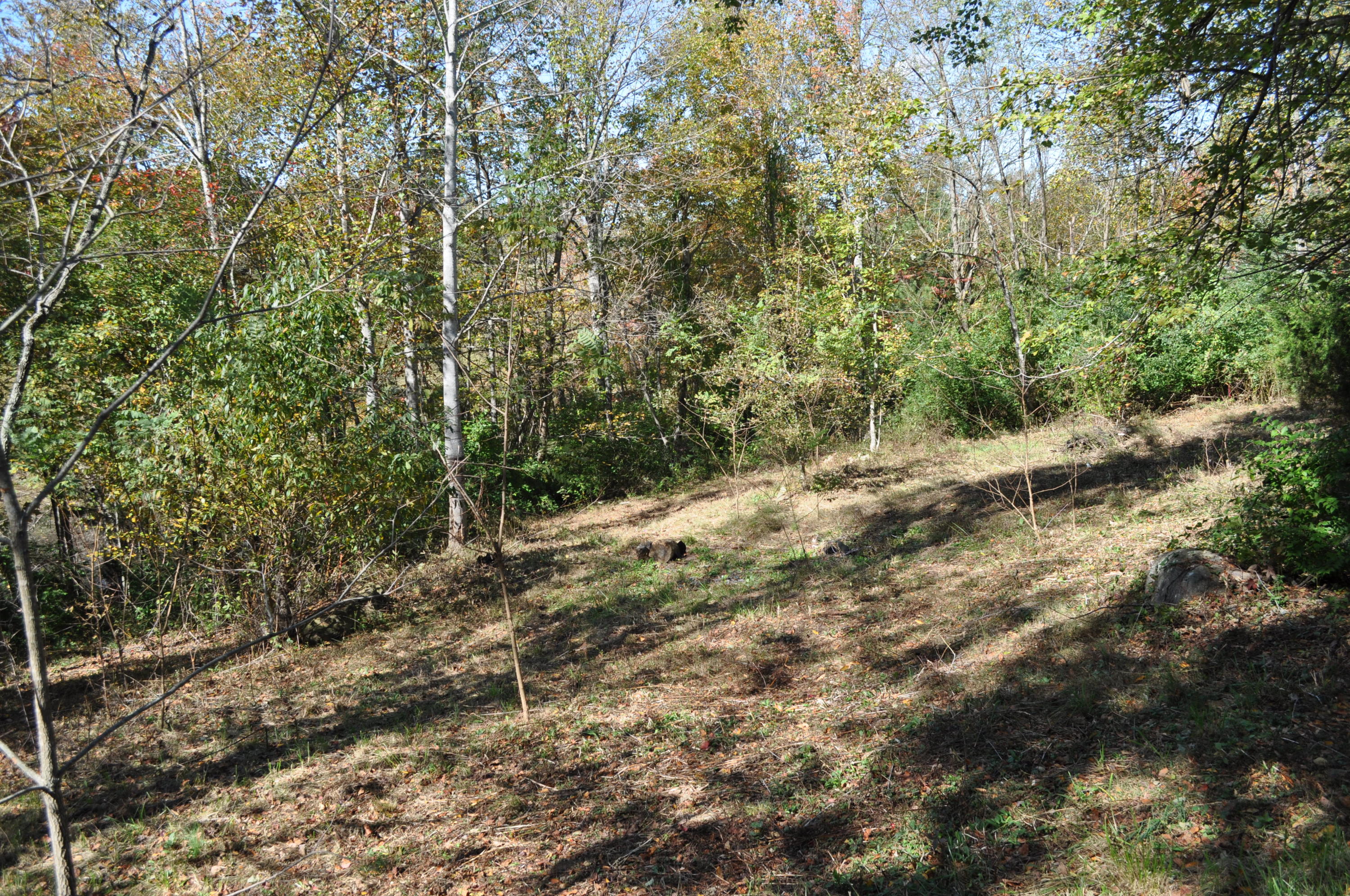 140 Vandever Road Crossville, TN 38572 - Photo 14 of 40 DSC_0696