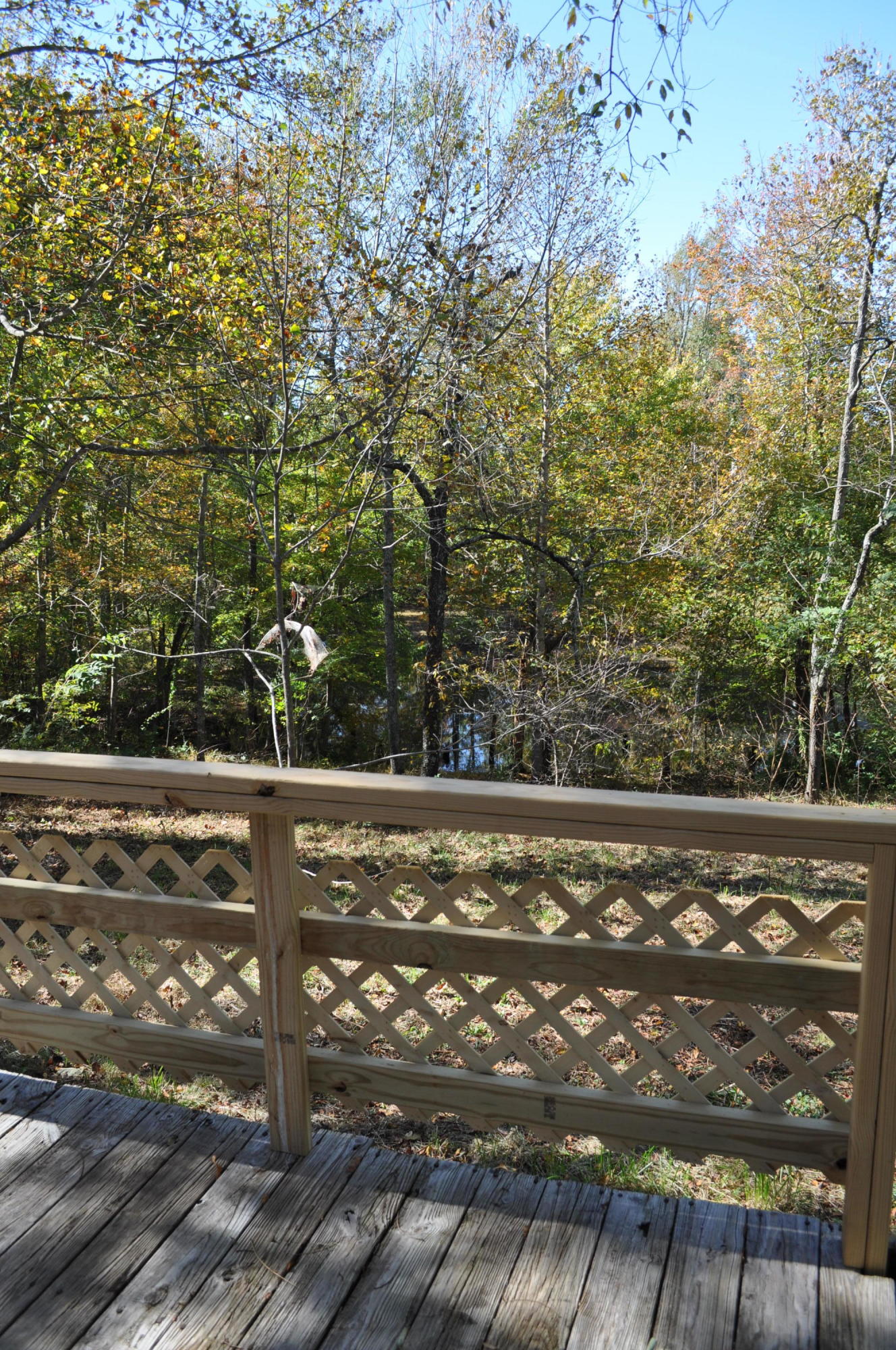 140 Vandever Road Crossville, TN 38572 - Photo 16 of 40 DSC_0694