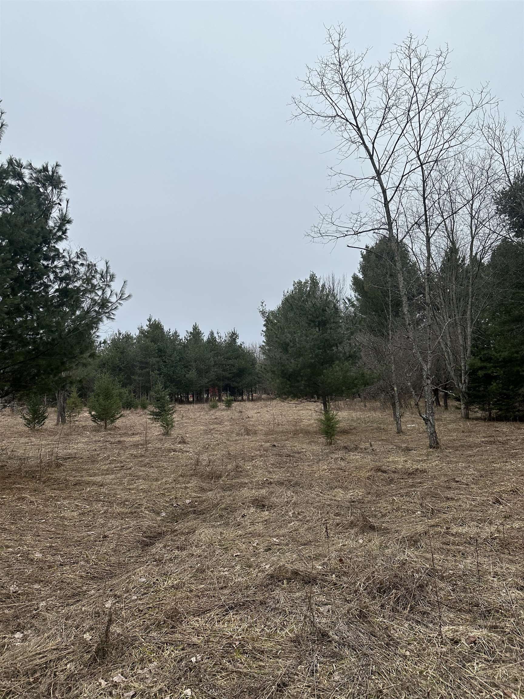 9537 Lakeview Road Alanson, MI 49706 - Photo 7 of 9