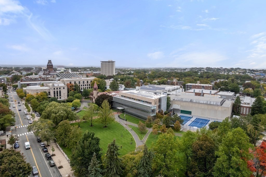 18 Ellery Square Cambridge, MA 02138 - Photo 28 of 28