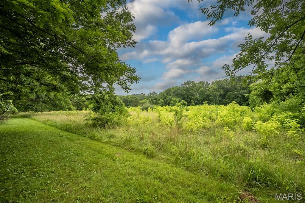 3037 Upper Moss Hollow Road Barnhart, MO 63012 - Photo 48 of 73