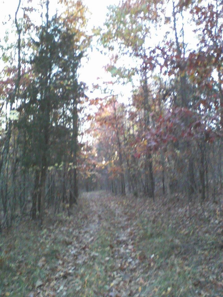4932 Owenton Road Stamping Ground, KY 40379 - Photo 9 of 17 Gallery Image 9