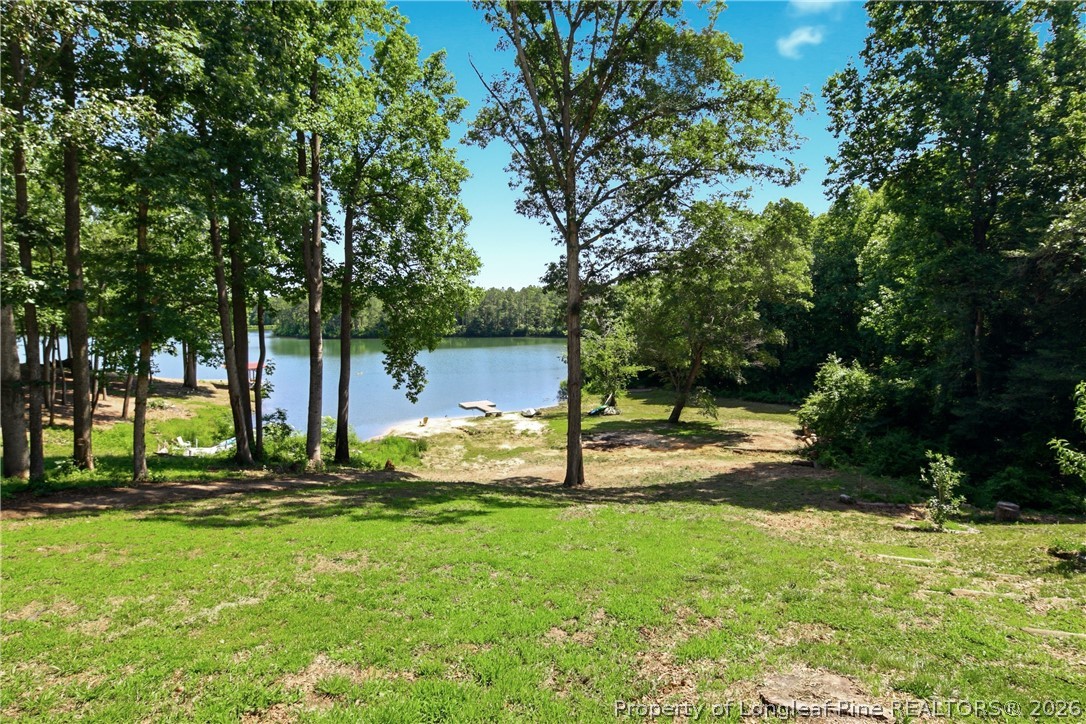 1075 Buffalo Lake Road Sanford, NC 27332 - Photo 44 of 49 a view of a park with trees