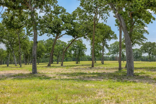 $625,000 | 0 Old Laake Lane, New Ulm, TX 78950