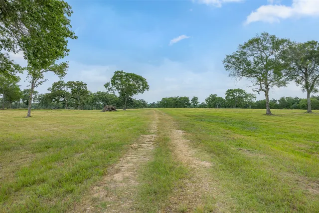 a view of a garden with a building in the background