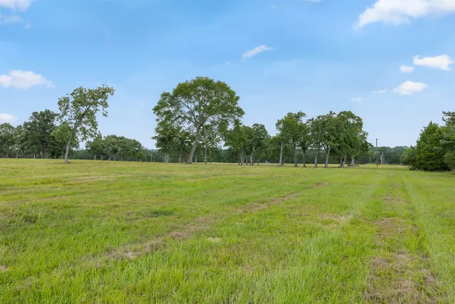a view of a green field