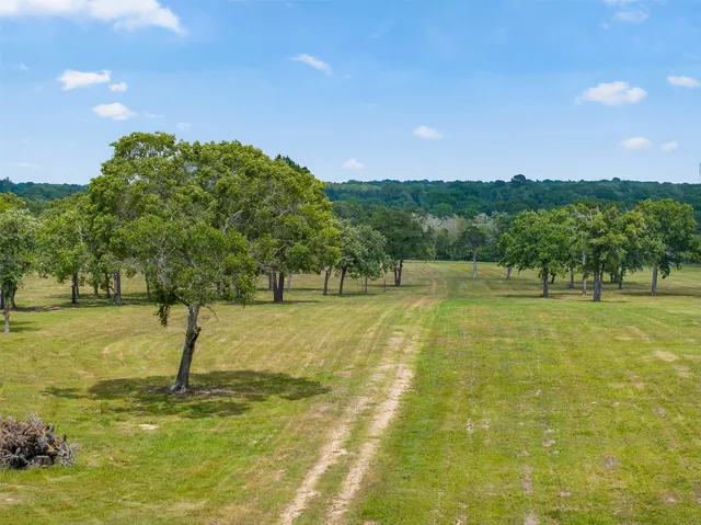 a view of yard with swimming pool and green space