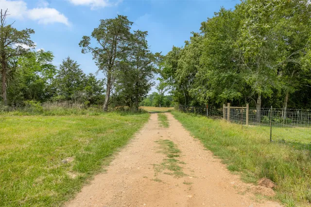 a view of a park with large trees