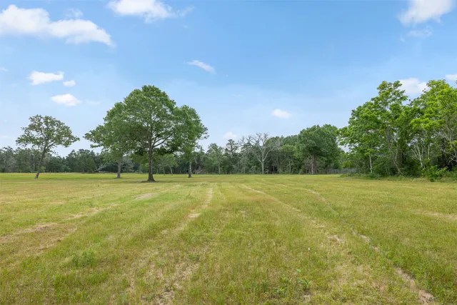 a view of a field with trees in the background