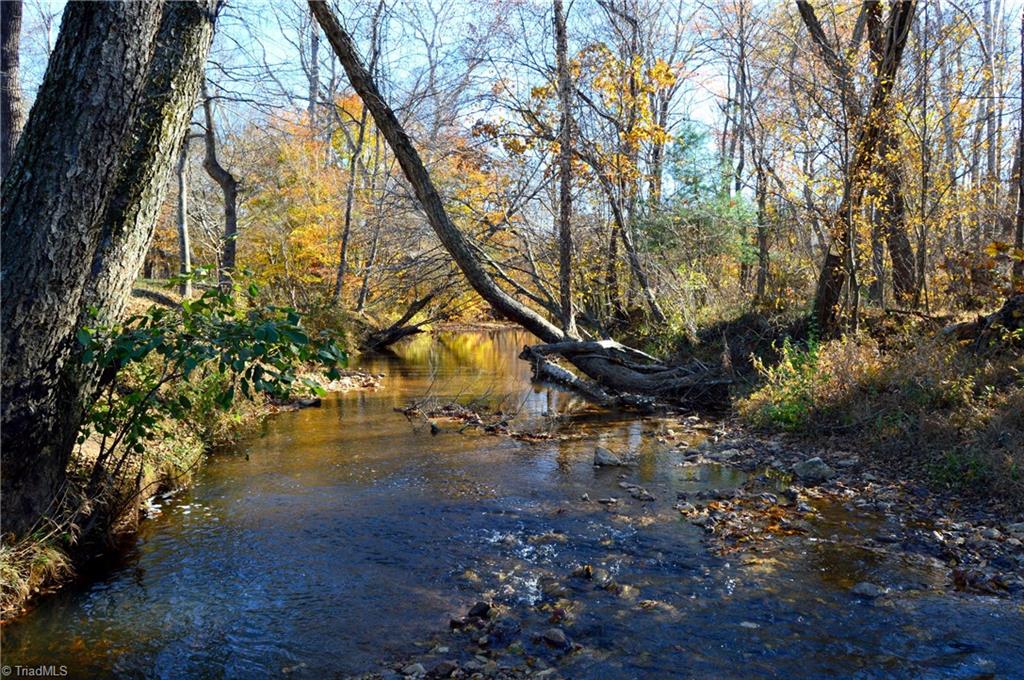 0 Martin Farm Road Madison, NC 27025 - Photo 22 of 47 Gallery Image 22