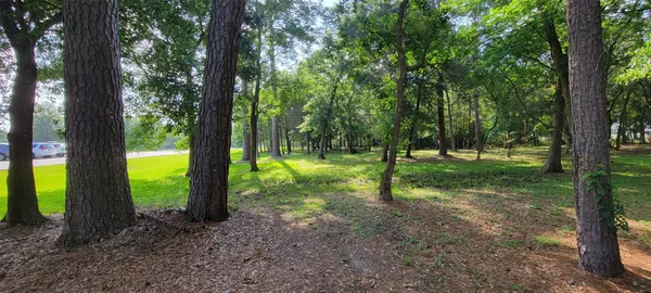 a view of a park