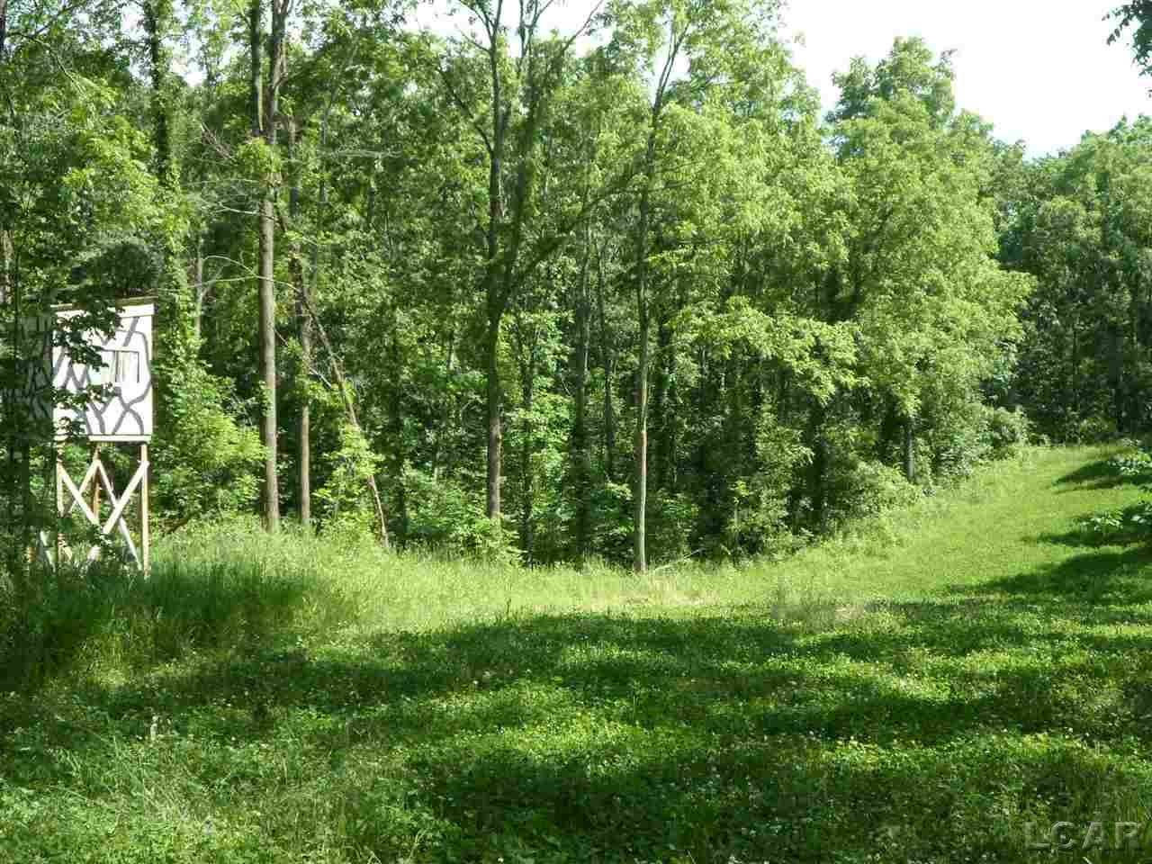 12000 Stephenson Road, Unit PARCEL A Brooklyn, MI 49230 - Photo 24 of 49