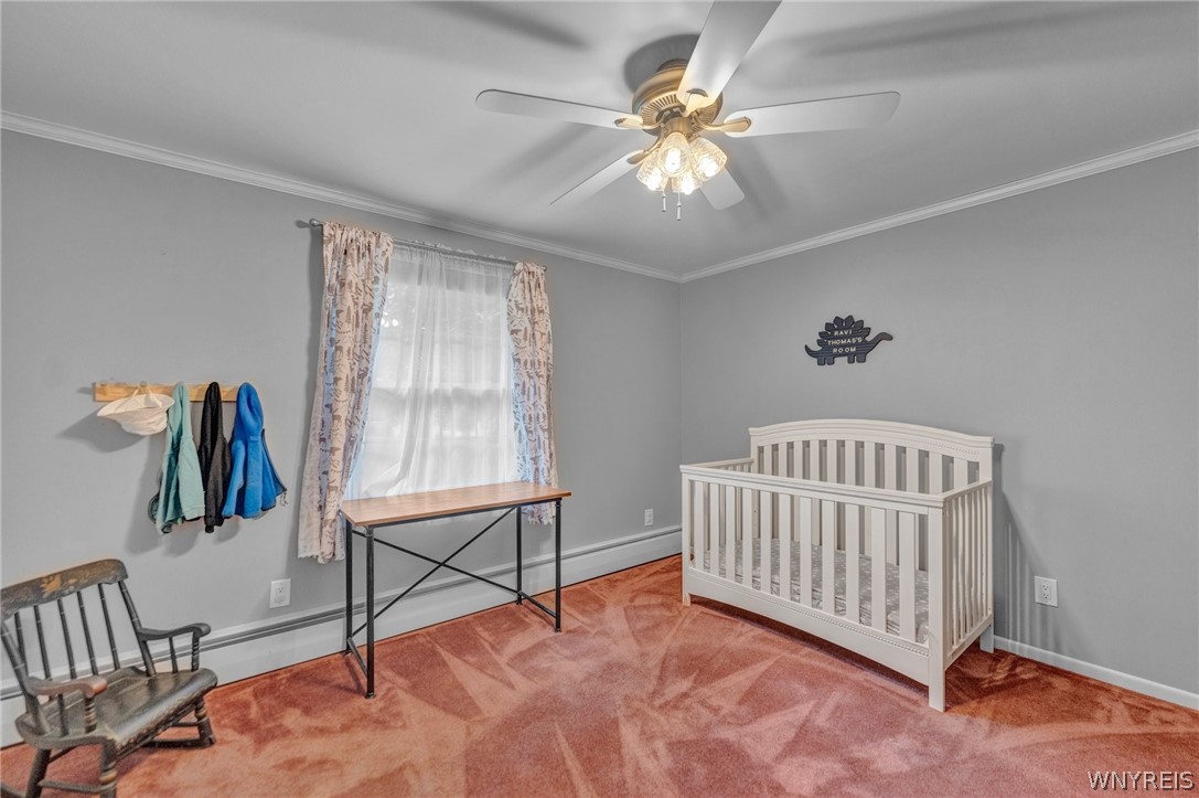 455 Howell Parkway Ridgeway, NY 14103 - Photo 34 of 49