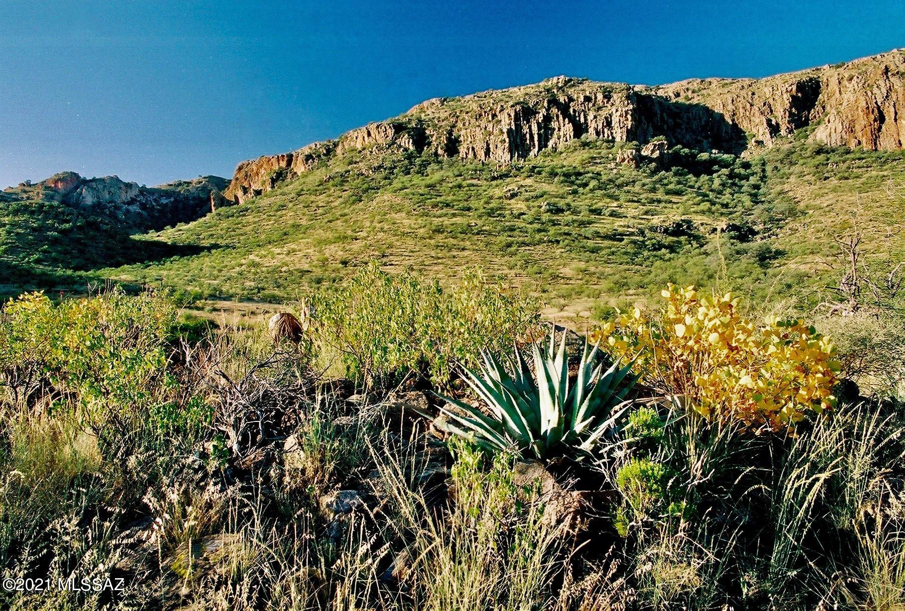 0 Tejano Springs Road, Unit 80 Rio Rico, AZ 85648 - Photo 8 of 23