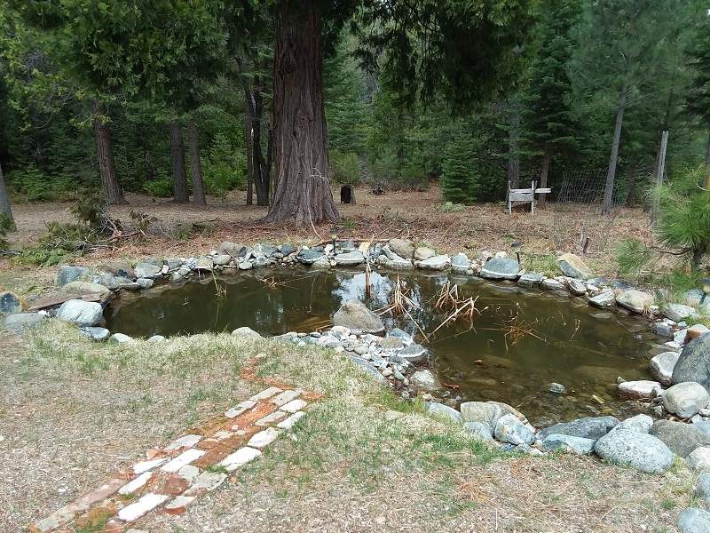 7515 Sugar Pine Road Weed, CA 96094 - Photo 14 of 16 Gallery Image 14
