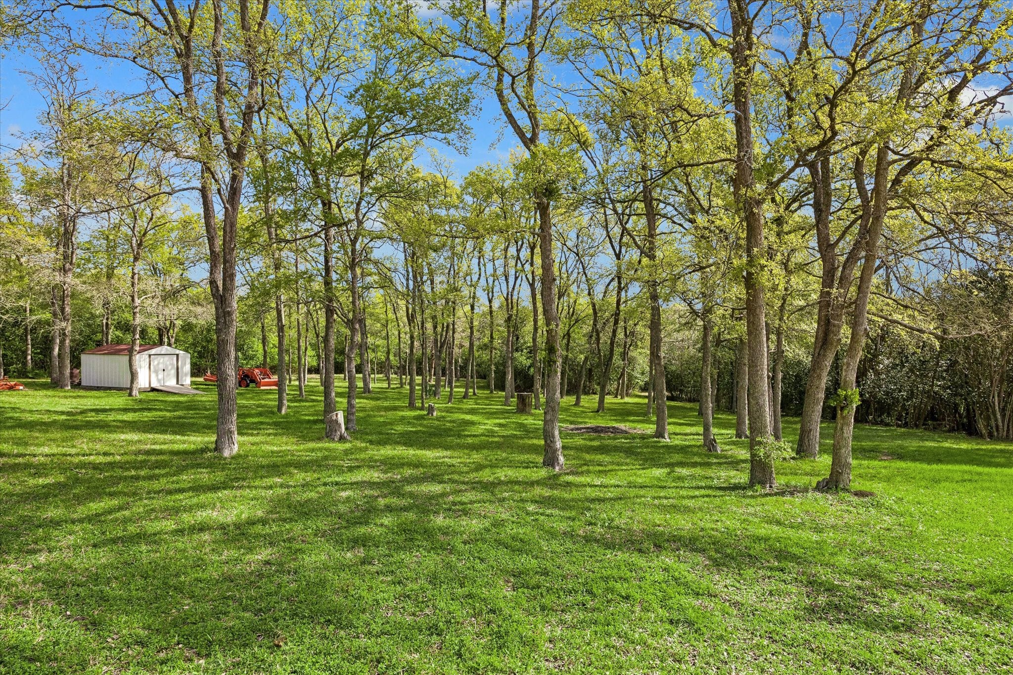 10222 Old Stagecoach Road Chappell Hill, TX 77426 - Photo 36 of 42 a view of a park with trees in the background