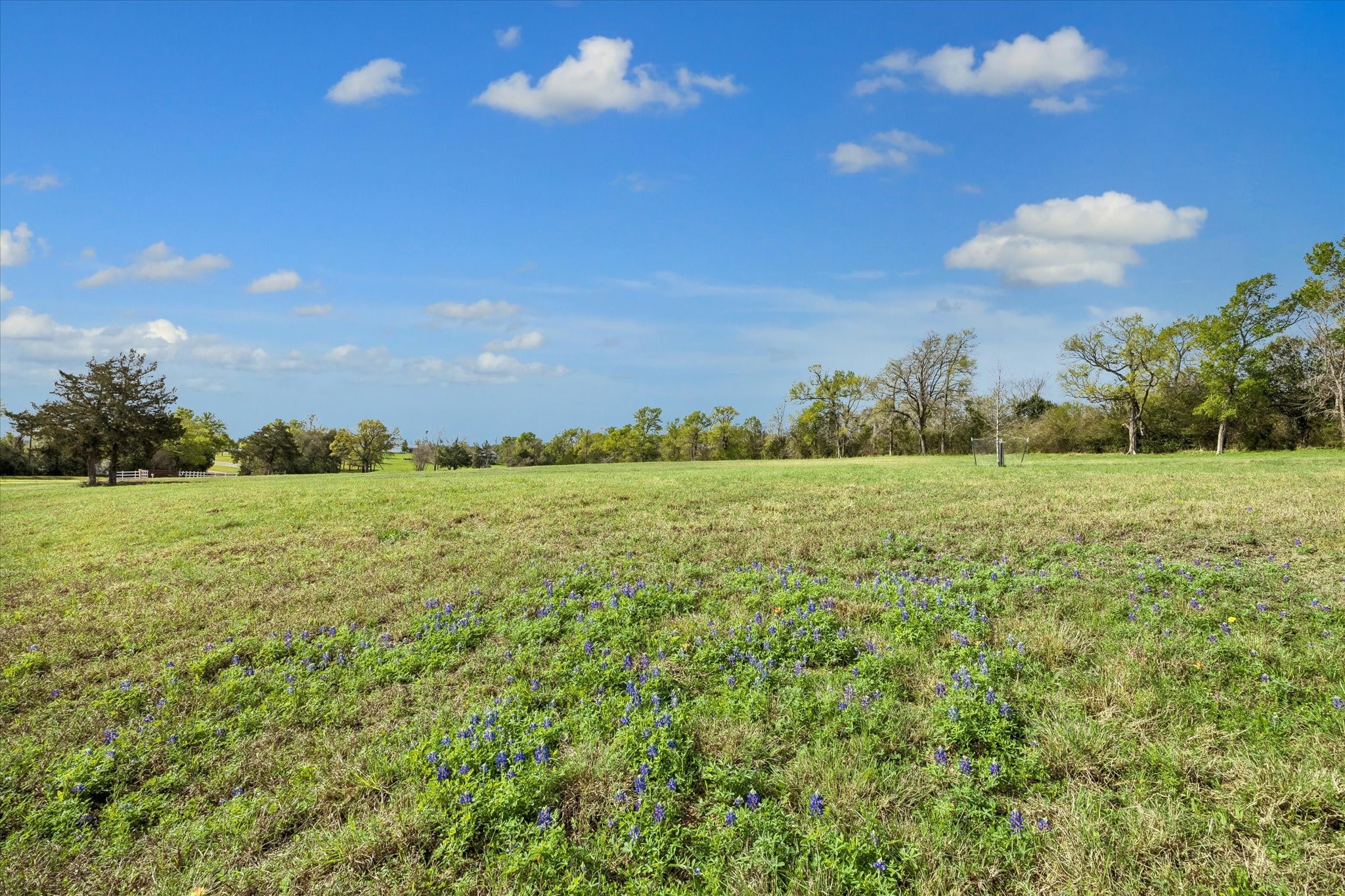 10222 Old Stagecoach Road Chappell Hill, TX 77426 - Photo 41 of 42 a view of a green field