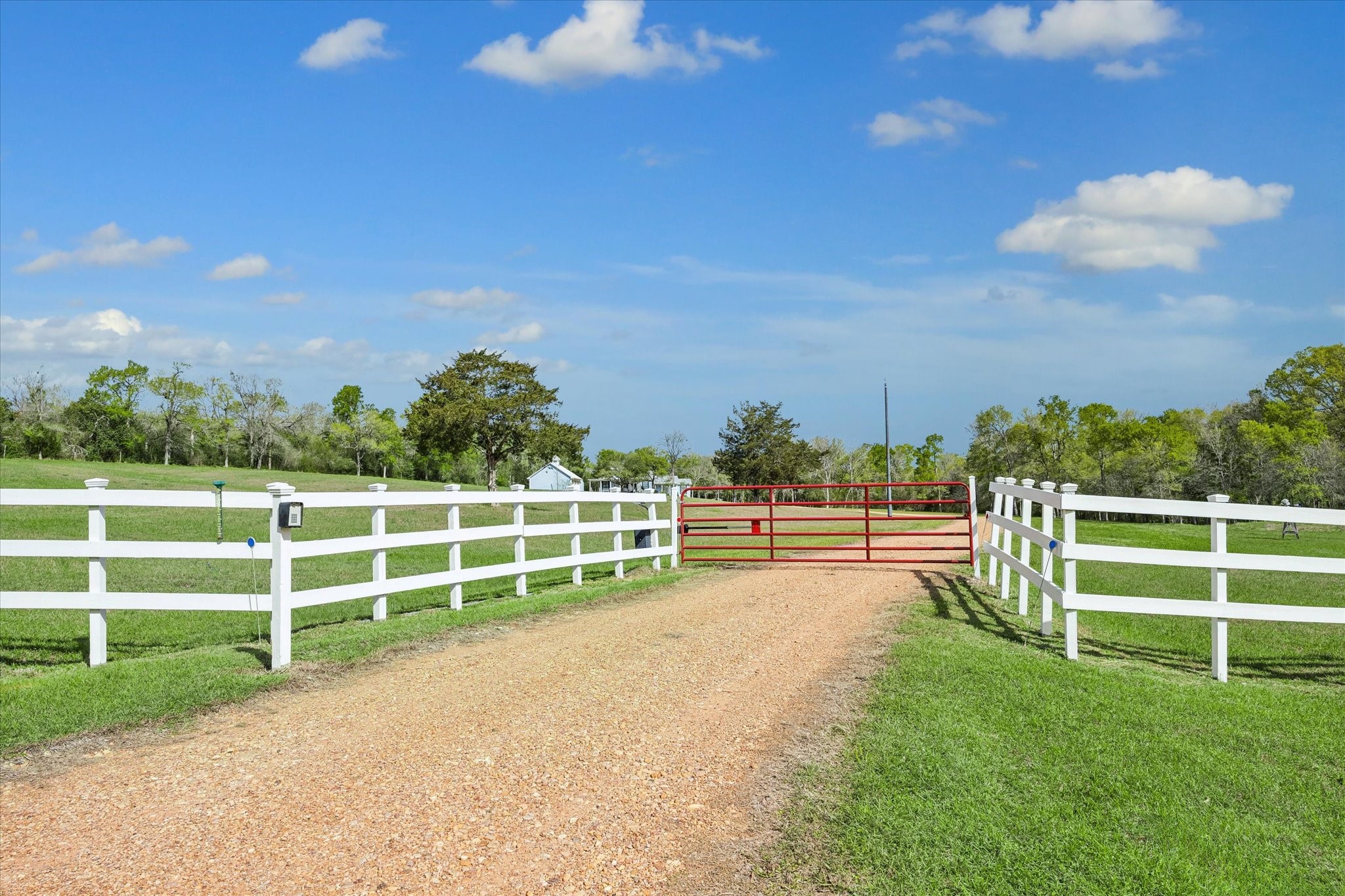 10222 Old Stagecoach Road Chappell Hill, TX 77426 - Photo 42 of 42 a view of a yard with wooden fence