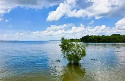 $269,000 | 1304 Rains County Road 1530, Point, TX 75472