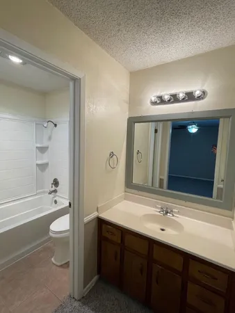 a bathroom with a double vanity sink toilet mirror and bathtub