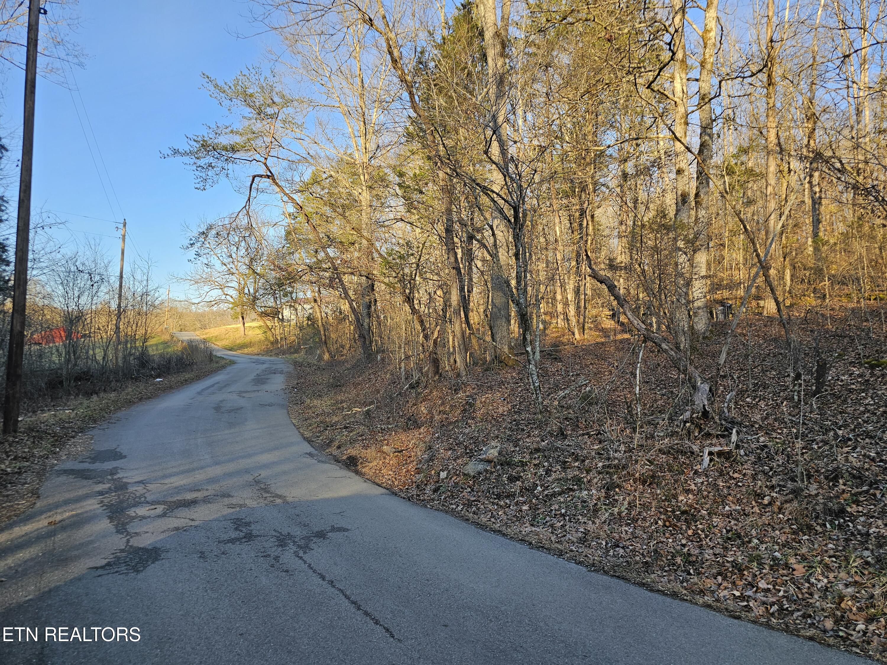 Blue Springs Road Speedwell, TN 37870 - Photo 3 of 6 20250109_163820