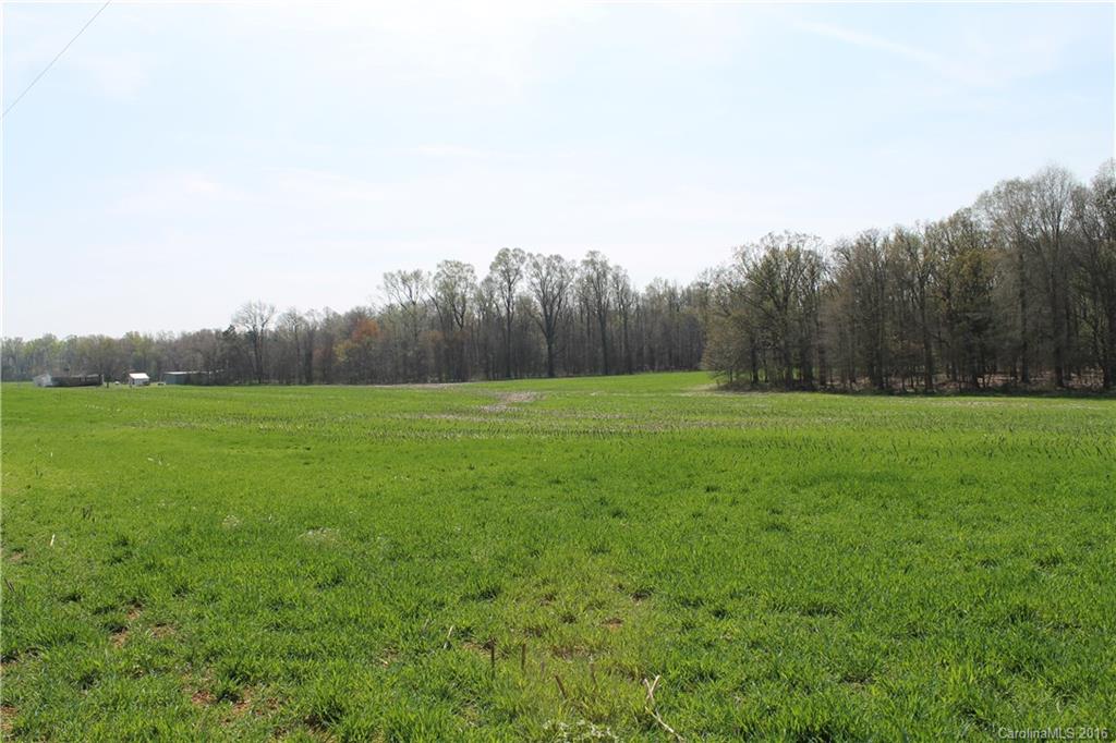 1005 Camden Road Wingate, NC 28174 - Photo 3 of 4