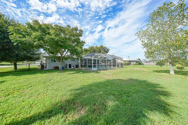 a view of a park with large trees