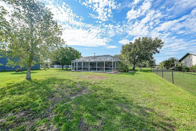 a view of a garden with a tree