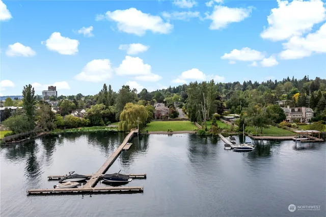 a view of a lake with a slide