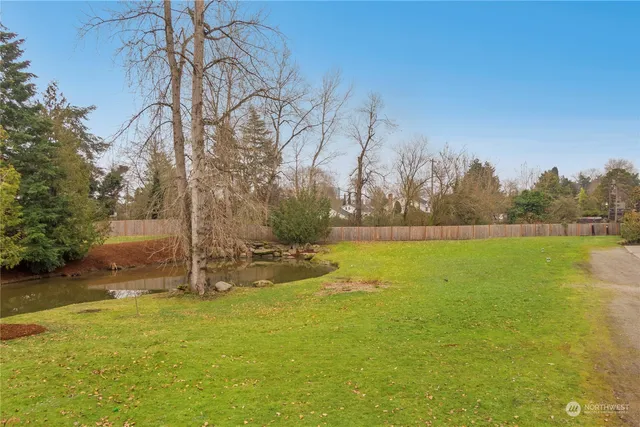 a view of yard with trees