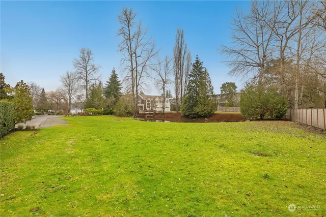 a view of large yard with large trees