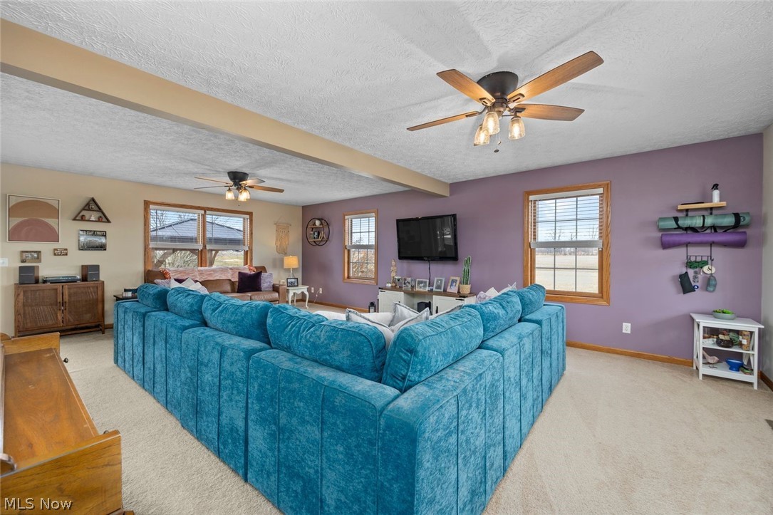 4273 Old State Road Willard, OH 44890 - Photo 18 of 50 Living room featuring a ceiling fan, light colored carpet, healthy amount of natural light, and a textured ceiling