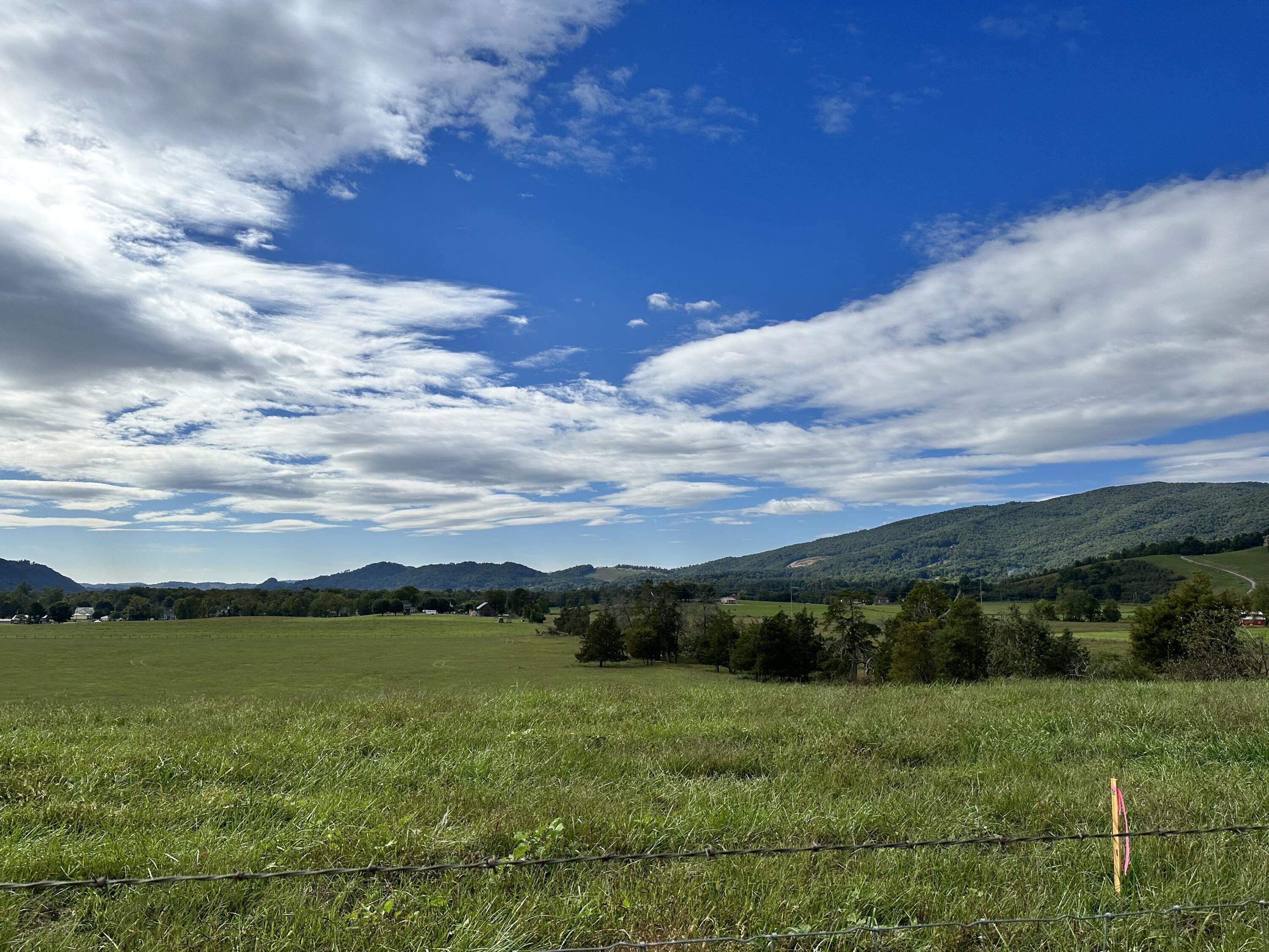 Tbd Campbell Road Elizabethton, TN 37643 - Photo 4 of 8 IMG_0804