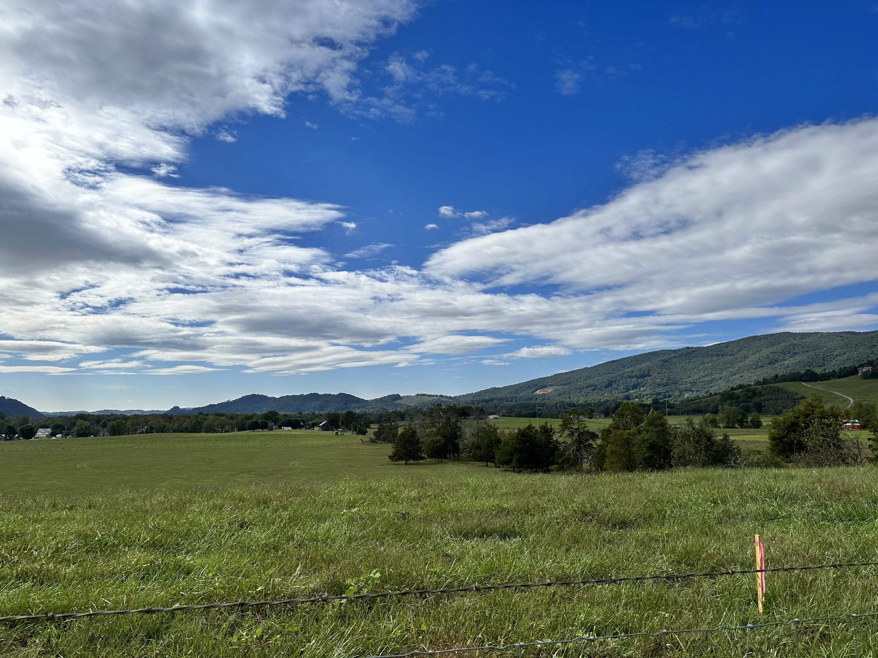 Tbd Campbell Road Elizabethton, TN 37643 - Photo 5 of 8 IMG_0803