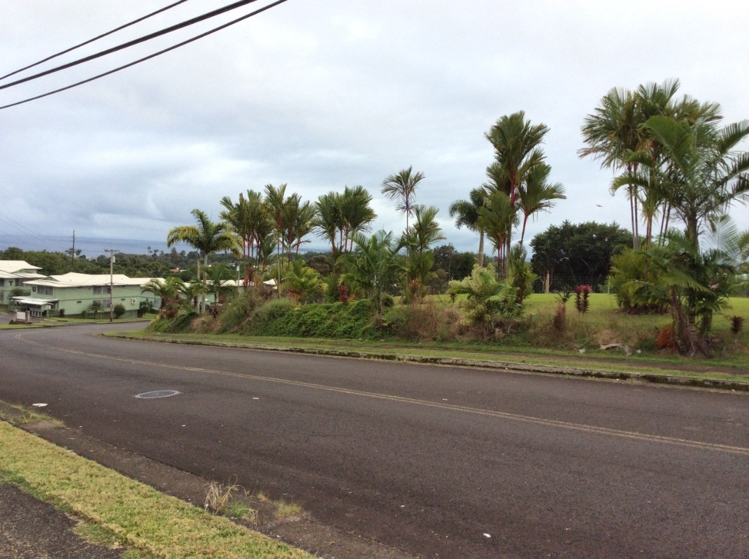 28-2981 Kumula Street Pepeekeo, HI 96783 - Photo 11 of 28 a view of a street